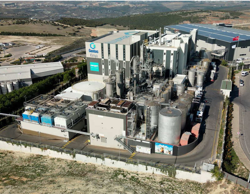 Gentaş Kimya’nın halka arzı SPK tarafından onaylandı