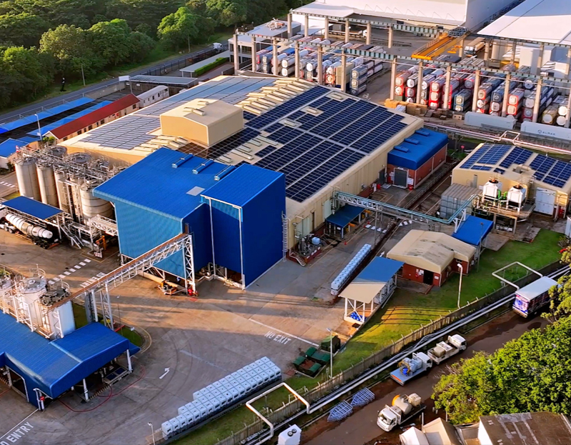 BASF G&uuml;ney Afrika'da kapasite artırdı