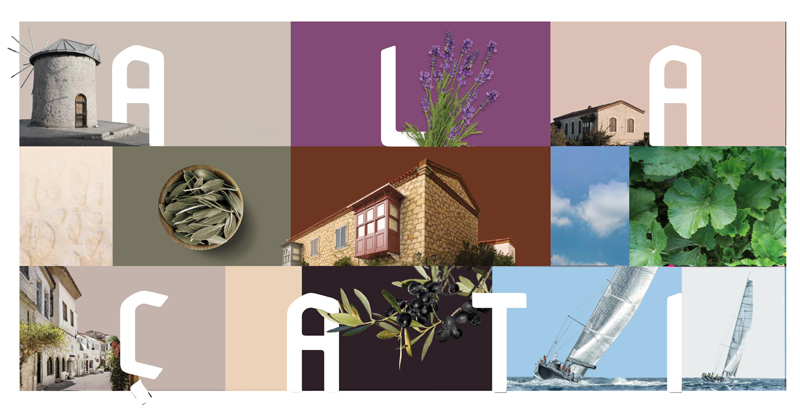 DYO Renk Atlası Ala&ccedil;atı