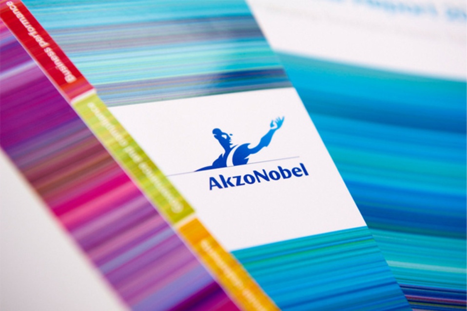 Boya ve kaplama devi Akzo Nobel 